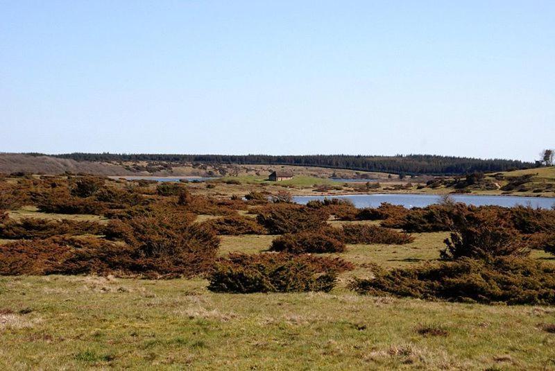 Hedelandets Camping Sevel Kültér fotó